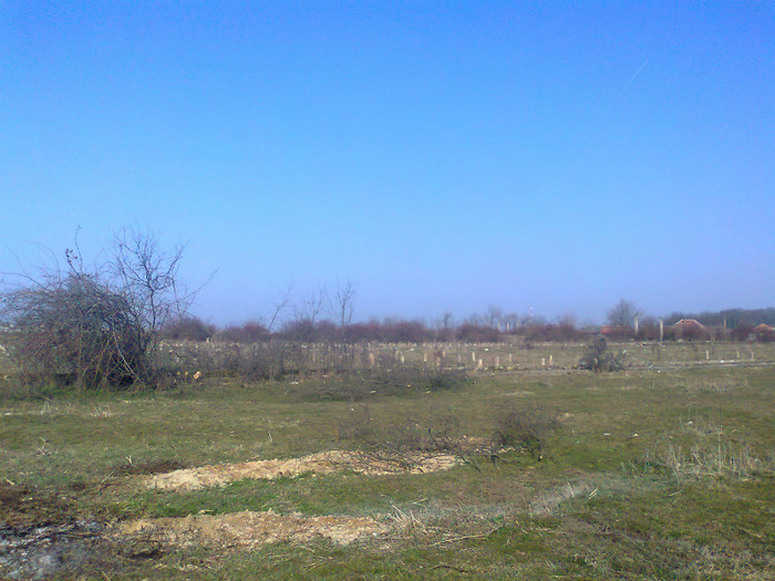 Fotografie0503 - MACEA