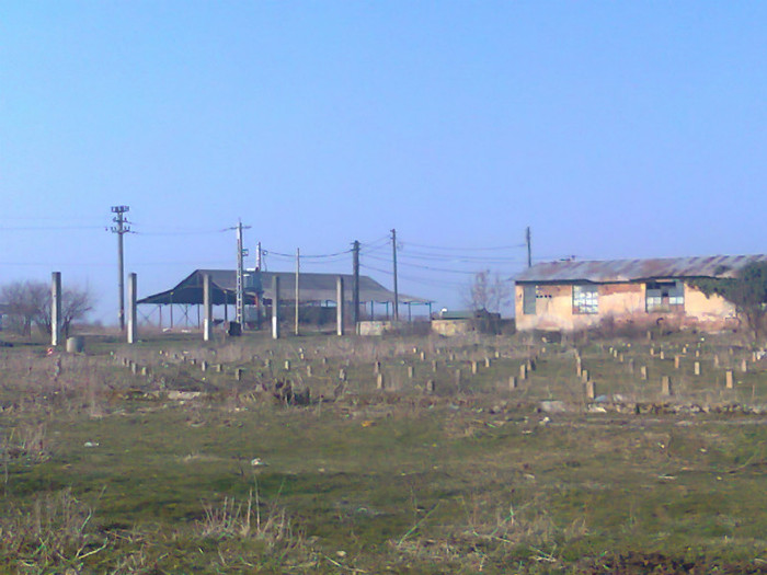 Fotografie0505 - MACEA