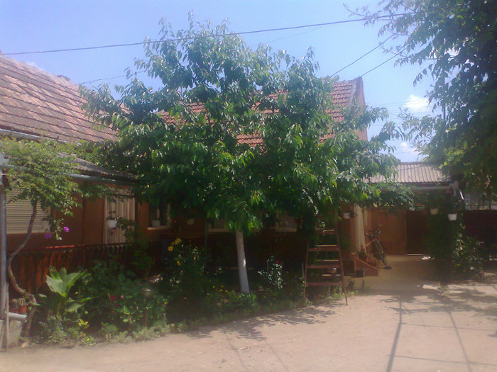 fotografie0552 - MACEA