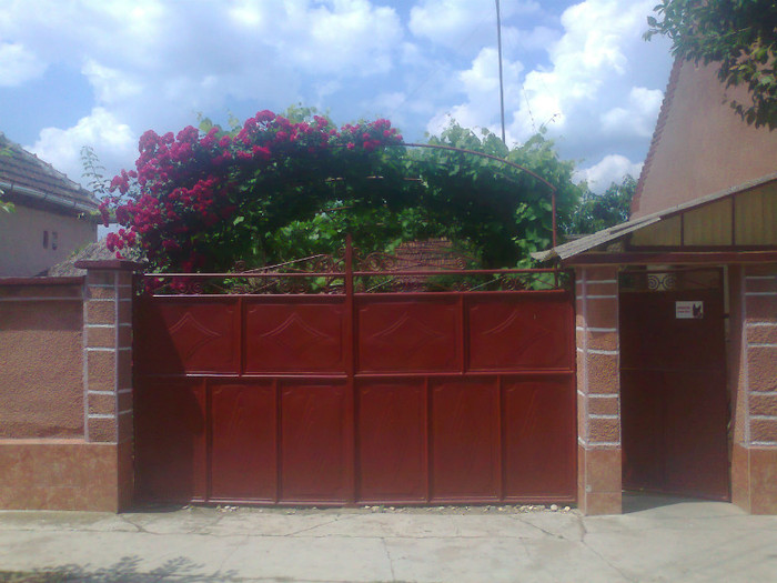 Fotografie0559 - MACEA