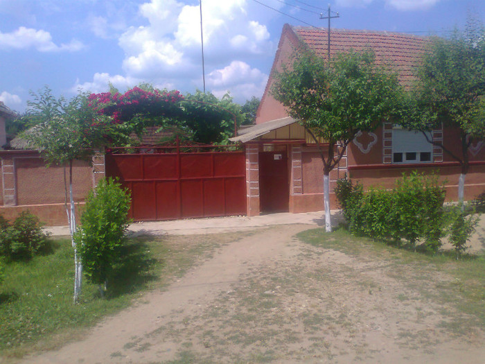 Fotografie0561 - MACEA