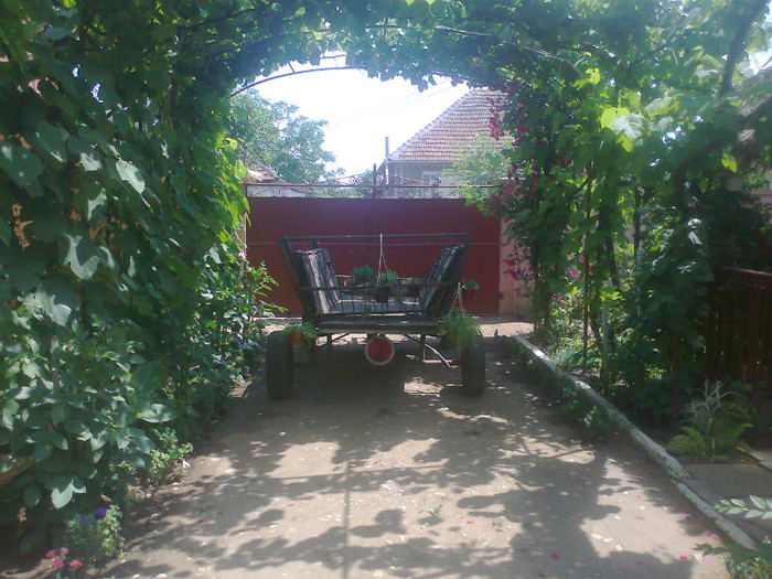 Fotografie0564 - MACEA