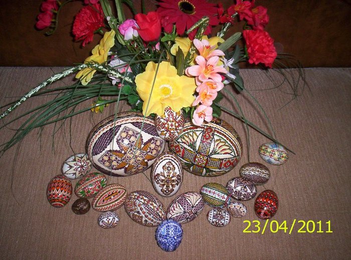 217092_115281371886891_100002150873359_130042_4797380_n