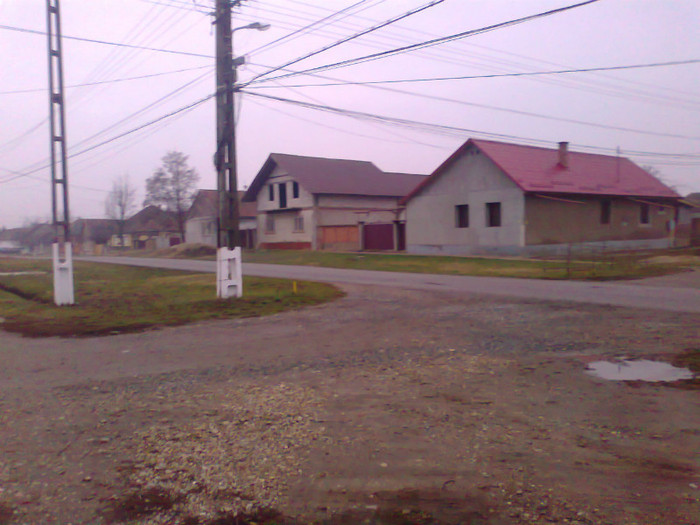 Fotografie0204 - MACEA