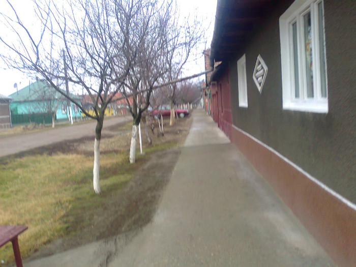 Fotografie0207 - MACEA