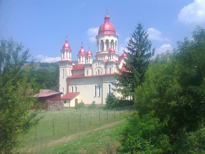 Fotografie0847 - EXCURSIE BOLOGA CLUJ NAPOCA