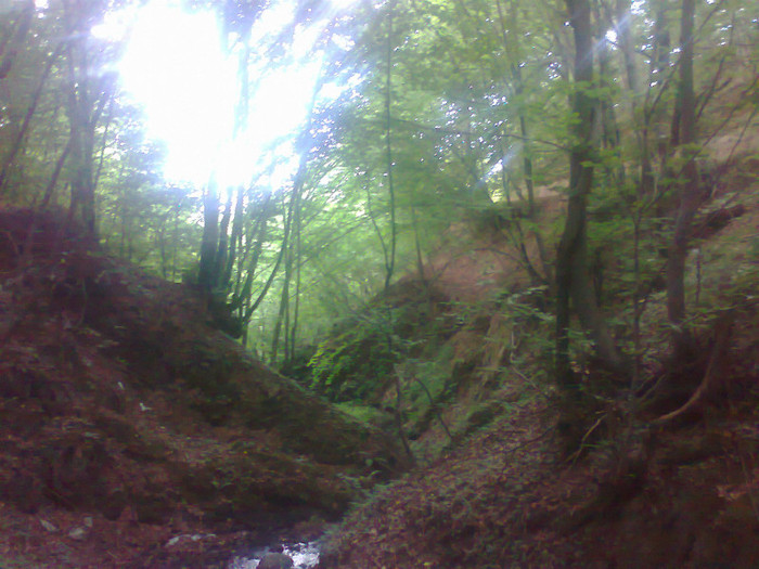 Fotografie0880 - EXCURSIE BOLOGA CLUJ NAPOCA