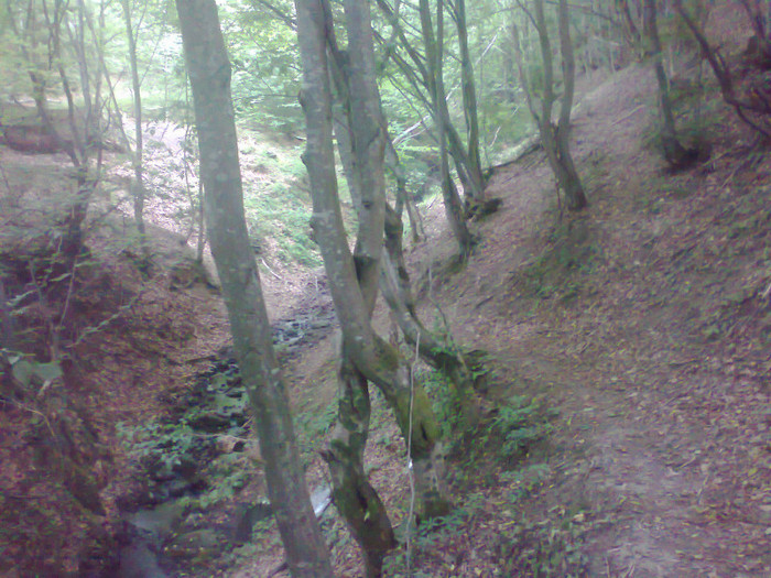 Fotografie0885 - EXCURSIE BOLOGA CLUJ NAPOCA