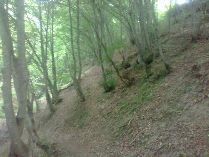 Fotografie0886 - EXCURSIE BOLOGA CLUJ NAPOCA