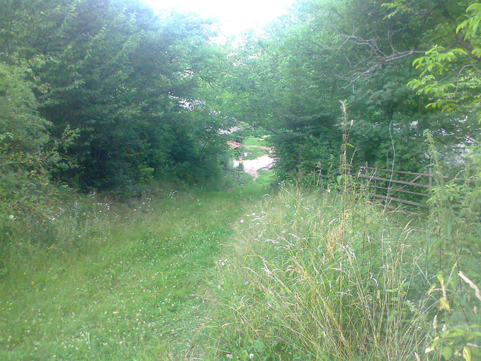 Fotografie0887 - EXCURSIE BOLOGA CLUJ NAPOCA