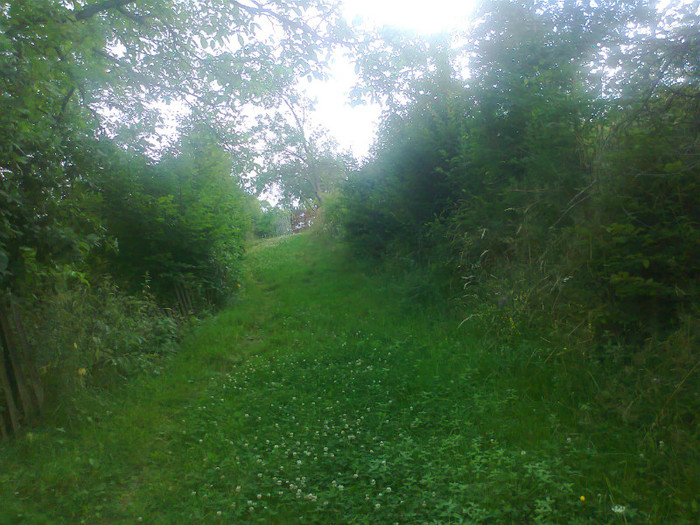 Fotografie0888 - EXCURSIE BOLOGA CLUJ NAPOCA