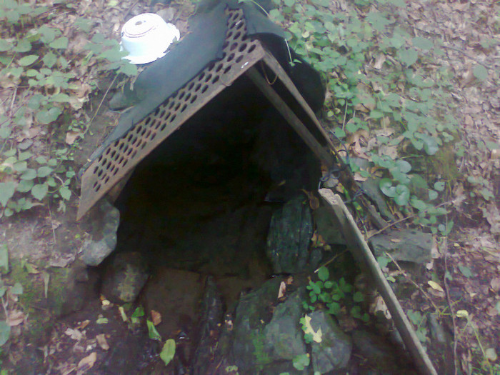 Fotografie0892 - EXCURSIE BOLOGA CLUJ NAPOCA