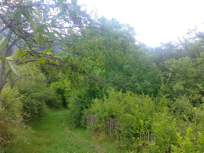 fotografie0921 - EXCURSIE BOLOGA CLUJ NAPOCA