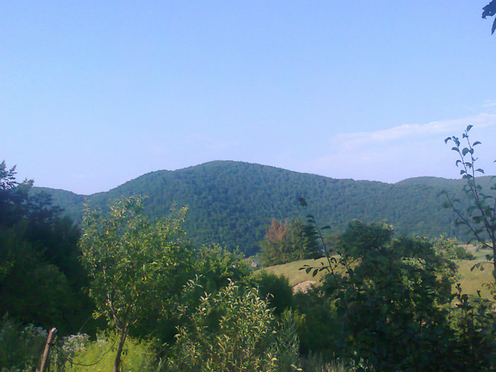 Fotografie0931 - EXCURSIE BOLOGA CLUJ NAPOCA