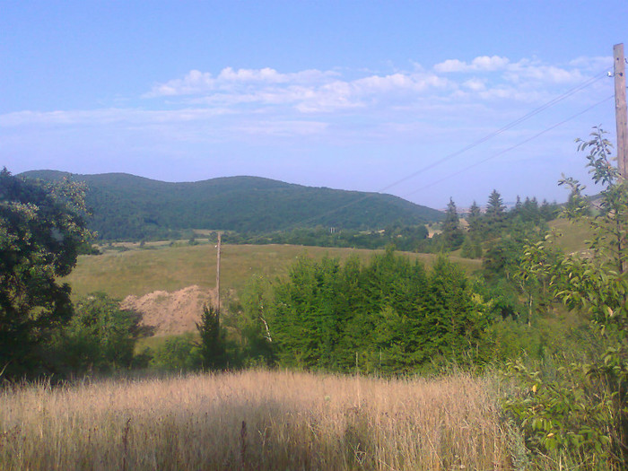 Fotografie0933 - EXCURSIE BOLOGA CLUJ NAPOCA