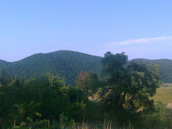 Fotografie0937 - EXCURSIE BOLOGA CLUJ NAPOCA