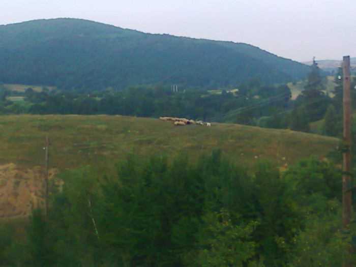 Fotografie0938 - EXCURSIE BOLOGA CLUJ NAPOCA