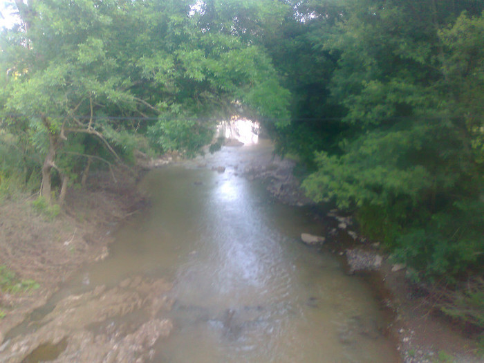 Fotografie0945 - EXCURSIE BOLOGA CLUJ NAPOCA