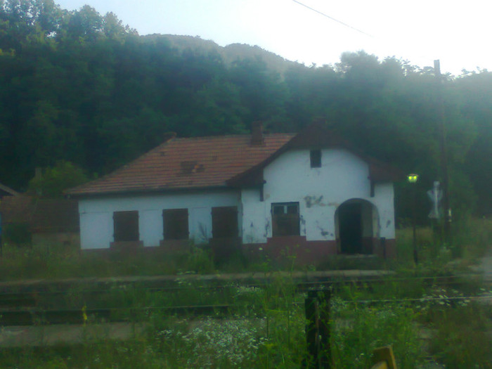 Fotografie0947 - EXCURSIE BOLOGA CLUJ NAPOCA