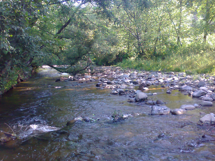 Fotografie0963 - EXCURSIE BOLOGA CLUJ NAPOCA