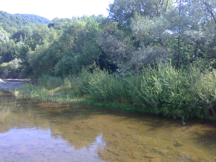 Fotografie0972 - EXCURSIE BOLOGA CLUJ NAPOCA