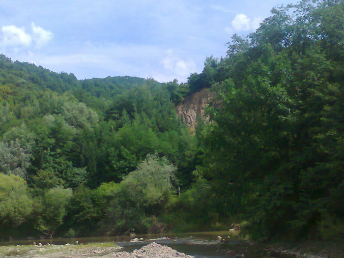 Fotografie0976 - EXCURSIE BOLOGA CLUJ NAPOCA