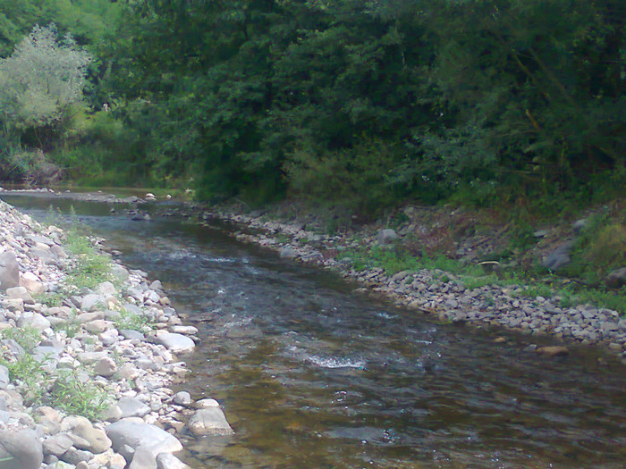 Fotografie0977 - EXCURSIE BOLOGA CLUJ NAPOCA