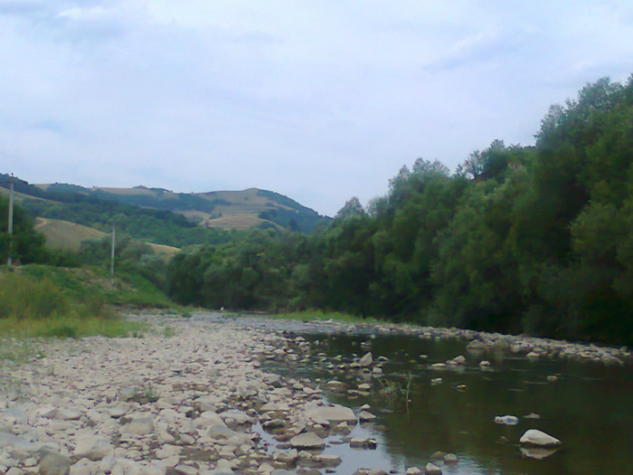 Fotografie0981 - EXCURSIE BOLOGA CLUJ NAPOCA