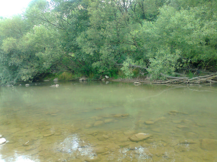 Fotografie0983 - EXCURSIE BOLOGA CLUJ NAPOCA