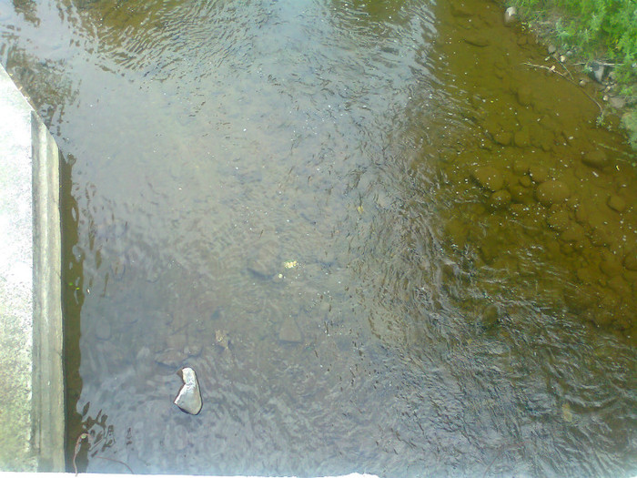 Fotografie0995 - EXCURSIE BOLOGA CLUJ NAPOCA