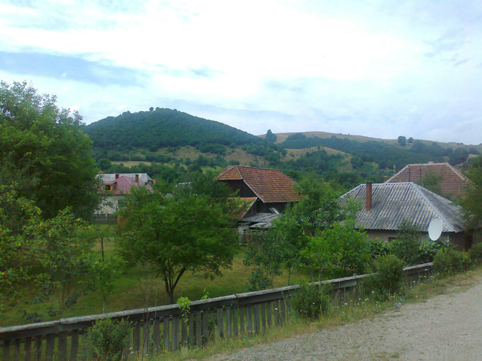 Fotografie0998 - EXCURSIE BOLOGA CLUJ NAPOCA
