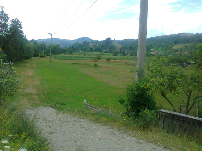 Fotografie0999 - EXCURSIE BOLOGA CLUJ NAPOCA