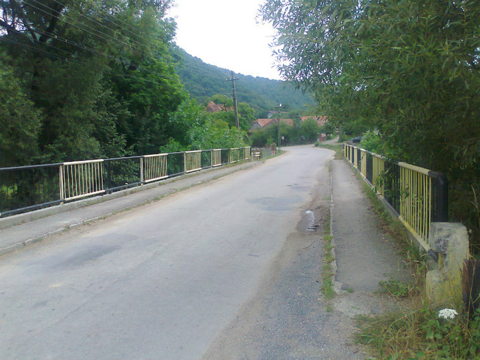 Fotografie1000 - EXCURSIE BOLOGA CLUJ NAPOCA