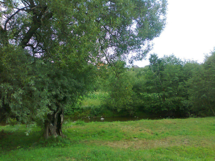 Fotografie1020 - EXCURSIE BOLOGA CLUJ NAPOCA