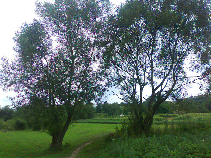 Fotografie1021 - EXCURSIE BOLOGA CLUJ NAPOCA