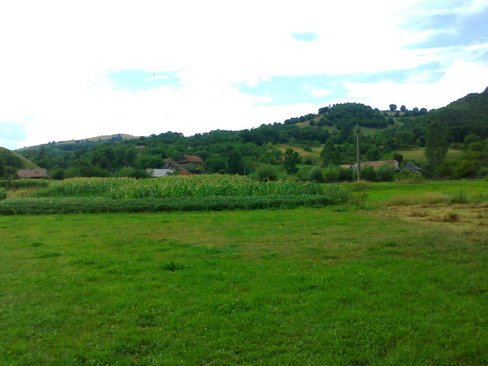 Fotografie1023 - EXCURSIE BOLOGA CLUJ NAPOCA