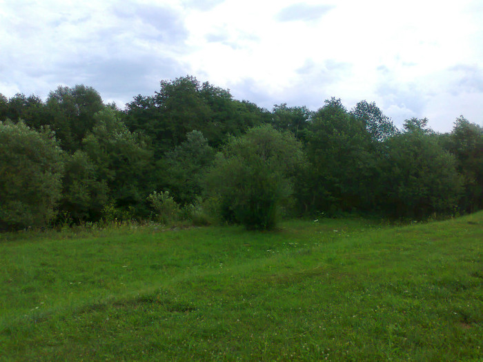 Fotografie1024 - EXCURSIE BOLOGA CLUJ NAPOCA