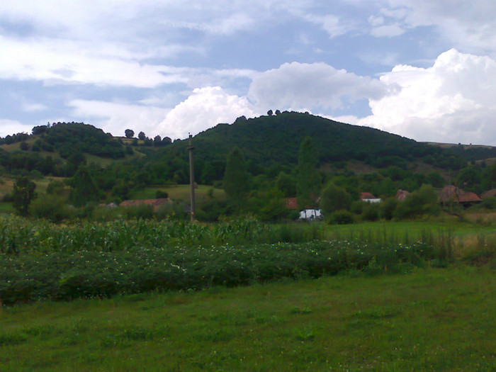 Fotografie1025 - EXCURSIE BOLOGA CLUJ NAPOCA