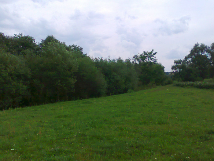 Fotografie1026 - EXCURSIE BOLOGA CLUJ NAPOCA