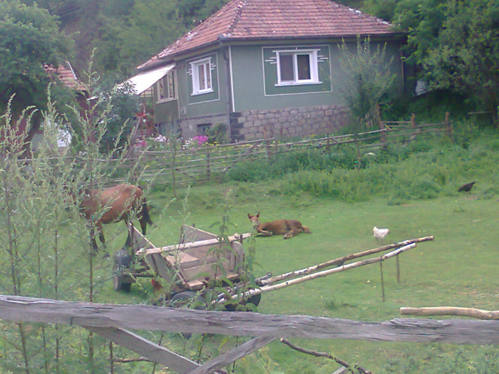 Fotografie1110 - EXCURSIE BOLOGA CLUJ NAPOCA