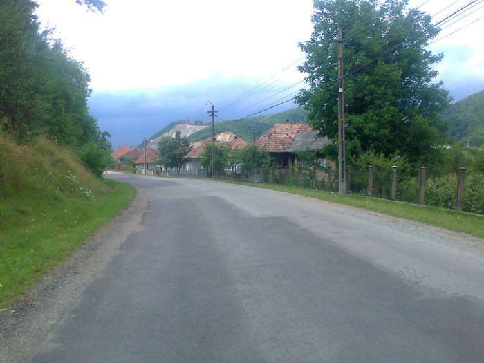 Fotografie1112 - EXCURSIE BOLOGA CLUJ NAPOCA