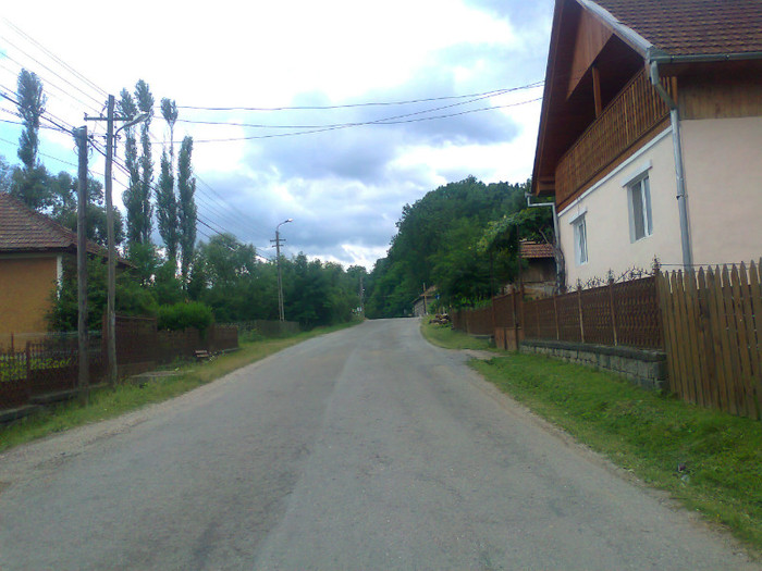 Fotografie1114 - EXCURSIE BOLOGA CLUJ NAPOCA