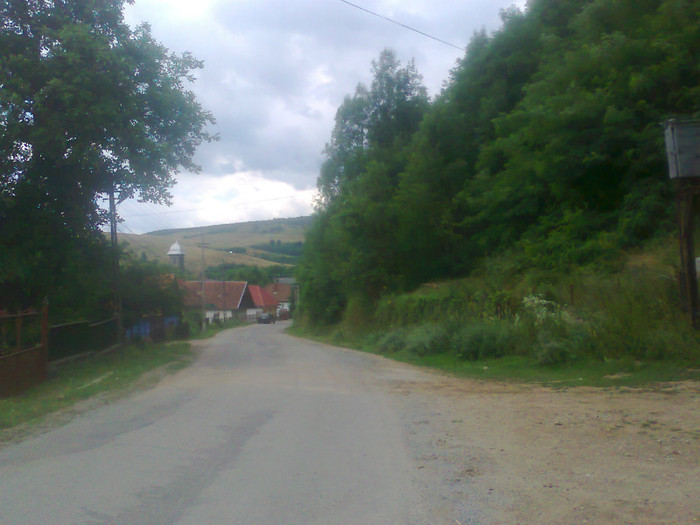 Fotografie1118 - EXCURSIE BOLOGA CLUJ NAPOCA