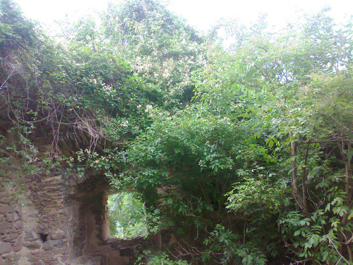 Fotografie1142 - EXCURSIE BOLOGA CLUJ NAPOCA