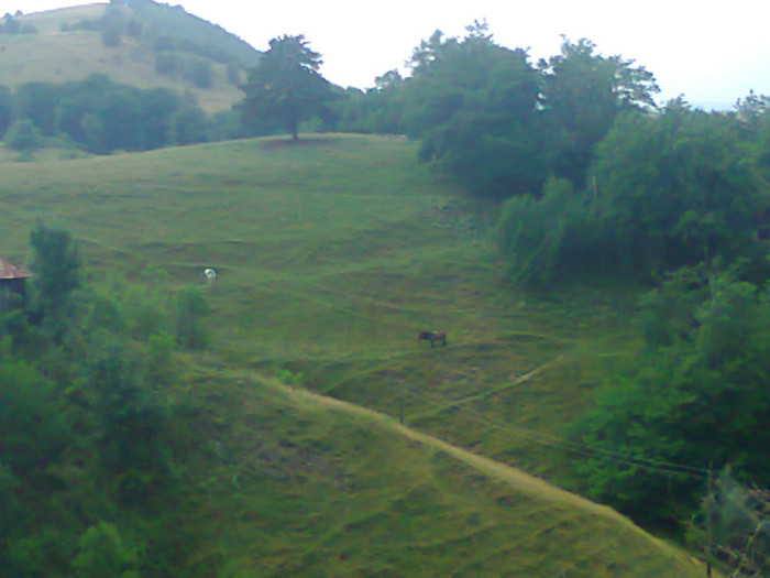 Fotografie1143 - EXCURSIE BOLOGA CLUJ NAPOCA