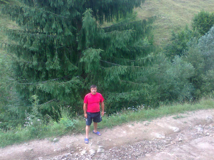 Fotografie1165 - EXCURSIE BOLOGA CLUJ NAPOCA