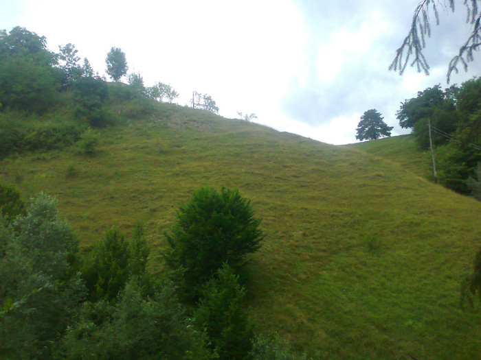 Fotografie1169 - EXCURSIE BOLOGA CLUJ NAPOCA