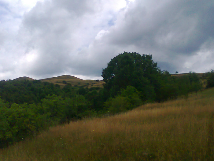 Fotografie1184 - EXCURSIE BOLOGA CLUJ NAPOCA
