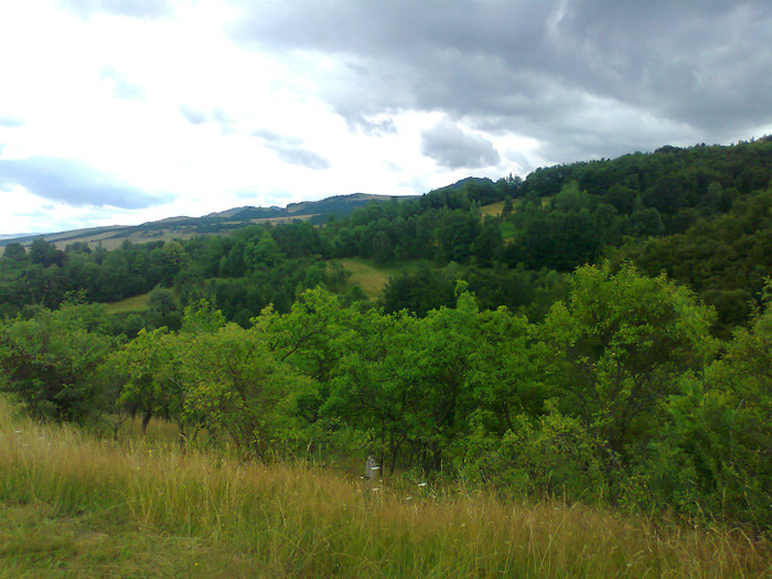 Fotografie1186 - EXCURSIE BOLOGA CLUJ NAPOCA