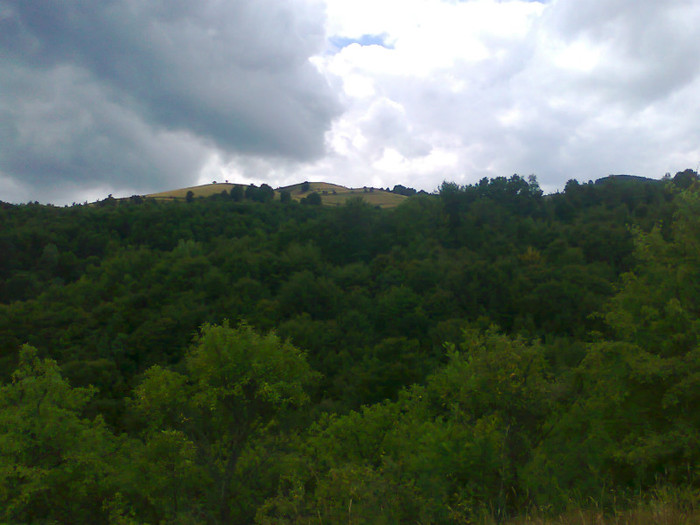 Fotografie1187 - EXCURSIE BOLOGA CLUJ NAPOCA